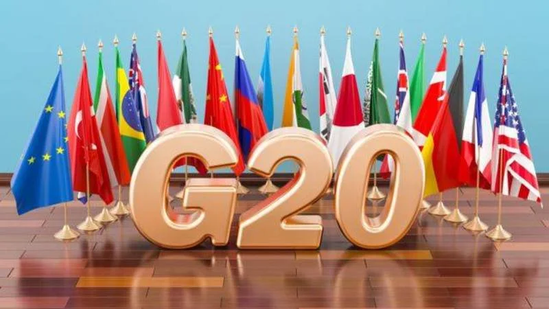 South Africa Announces Temporary Suspension of Its Participation in the G20