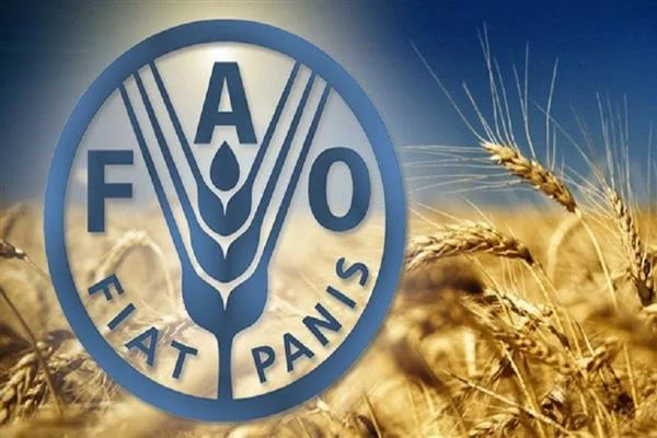 أنغولا تطلق رسميا حملة ترشيح جوزيفا كوريا لمنصب الأمين العام “للفاو”